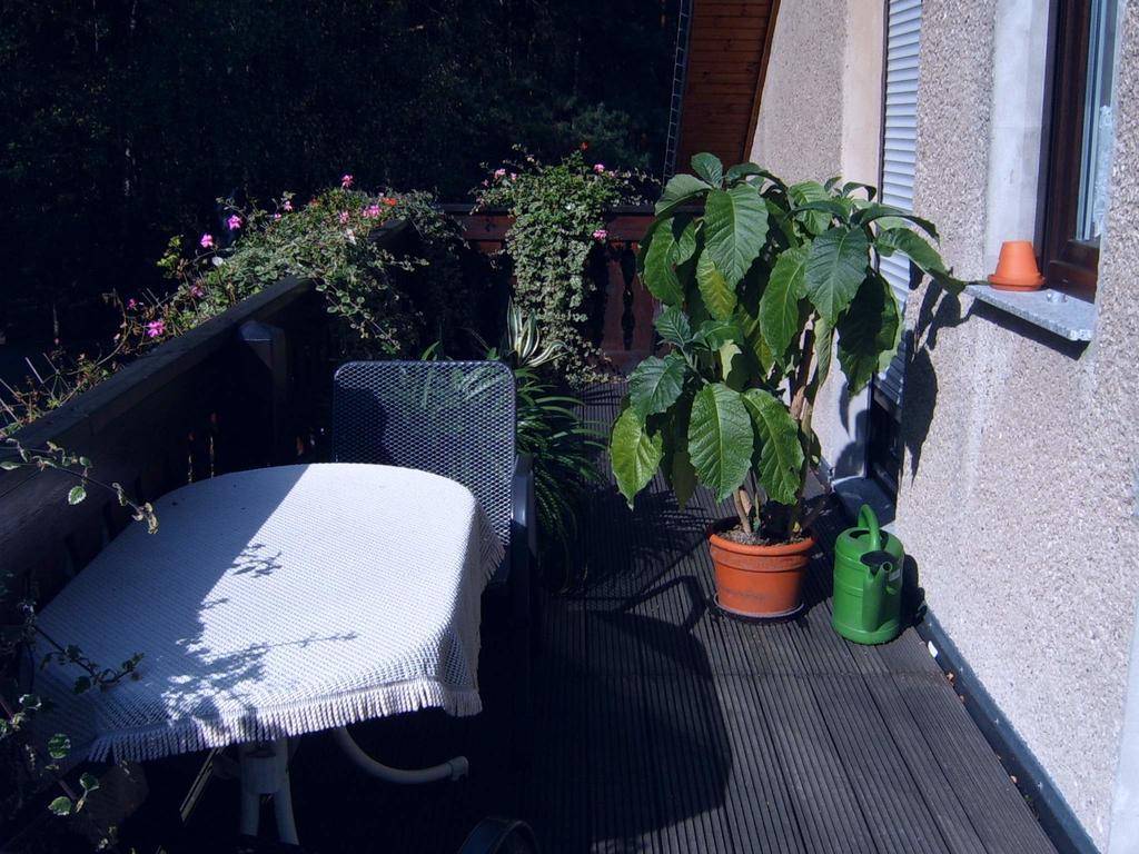 Ferienwohnung Guerth Kleinhennersdorf 外观 照片