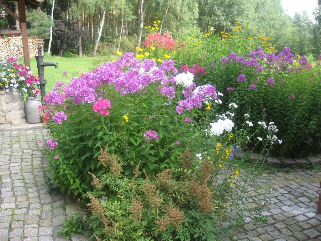 Ferienwohnung Guerth Kleinhennersdorf 外观 照片