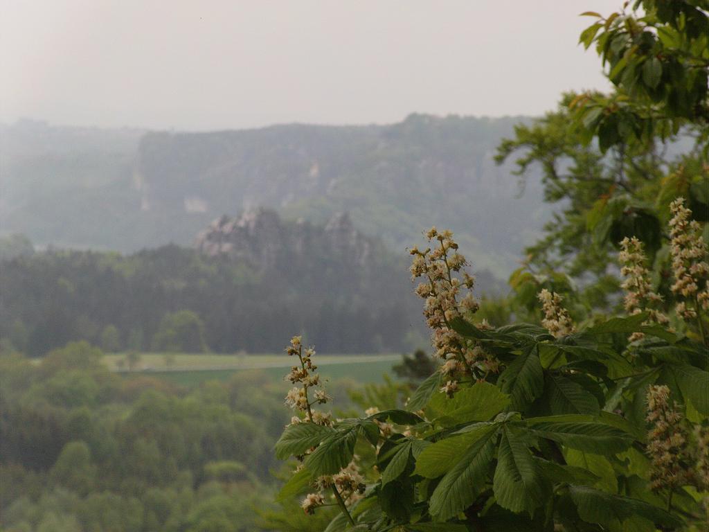 Ferienwohnung Guerth Kleinhennersdorf 外观 照片