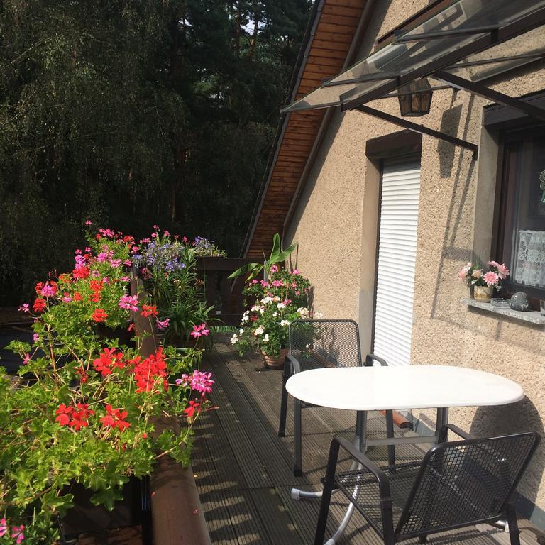 Ferienwohnung Guerth Kleinhennersdorf 外观 照片